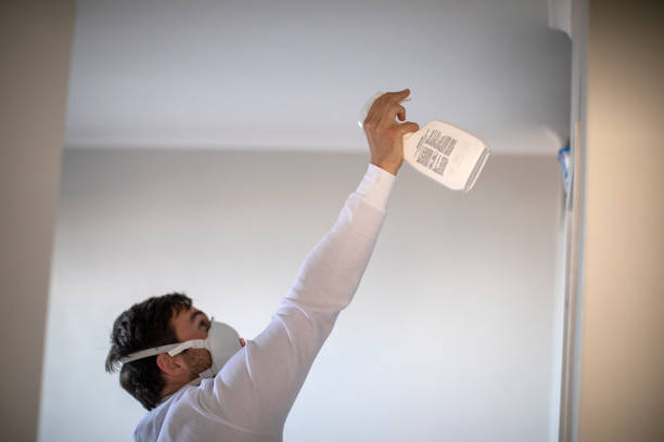 Best Post-Flood Mold Remediation in Kohler, WI