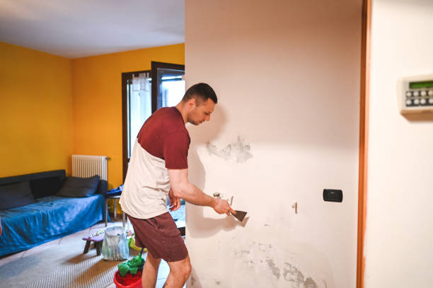Best Localized Mold Remediation (e.g., coastal areas, humid climates) in Kohler, WI